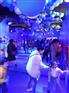 黄冈
萌宠展景区常年合作