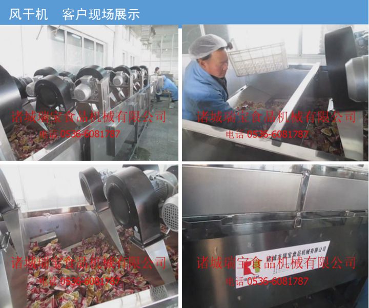 韭菜翻转风干机  蔬菜清洗烘干设备  豆腐干风干机