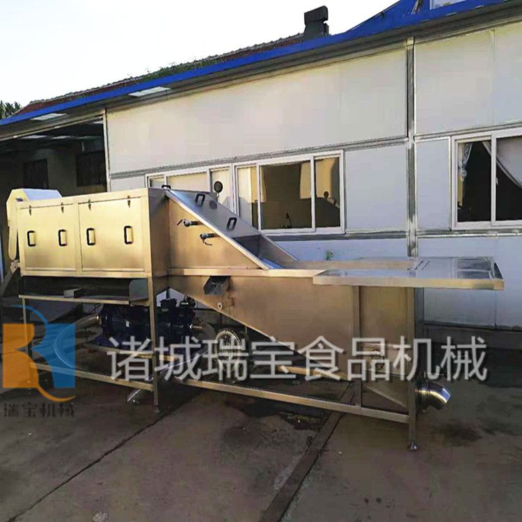 老姜去泥清洗设备  大姜清洗机  鲜姜洗沙清洗设备  鲜姜去泥清洗设备