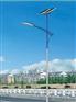 太阳能灯庭院灯家用打墙灯 LED道路照明工程太阳能灯