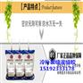 江西南昌水泥路面灌缝胶弹性胶体轻松应对裂缝宽窄变化