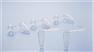 EPPendorf 艾本德PCR仪用pcr单管0.2ml透明