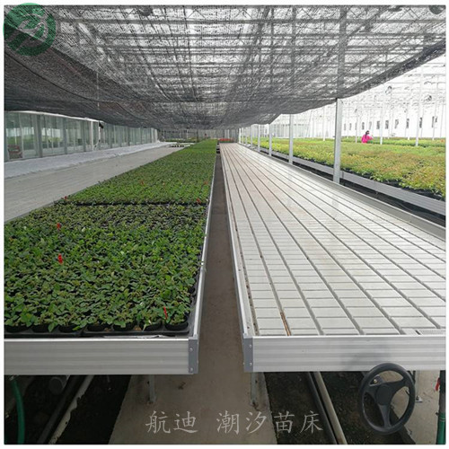 昆明常年供应潮汐式灌溉盘- 可开模加印logo  潮汐式苗盘  潮汐面板