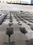 深圳市南山区光明区鼎建环保美观植草砖金牌厂家