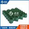 江门市草坪砖一绿色植草格诚信推荐