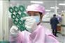 英特丽电子SMT贴片加工设备配置完善保证质量