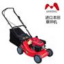 进口本田GXV160草坪机割草机汽油机4冲程发动机打草机