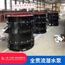 防汛排涝500QGWZ全贯流潜水泵品牌选择