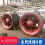 自耦式安装350QGWZ-125湿定子结构贯流泵性能