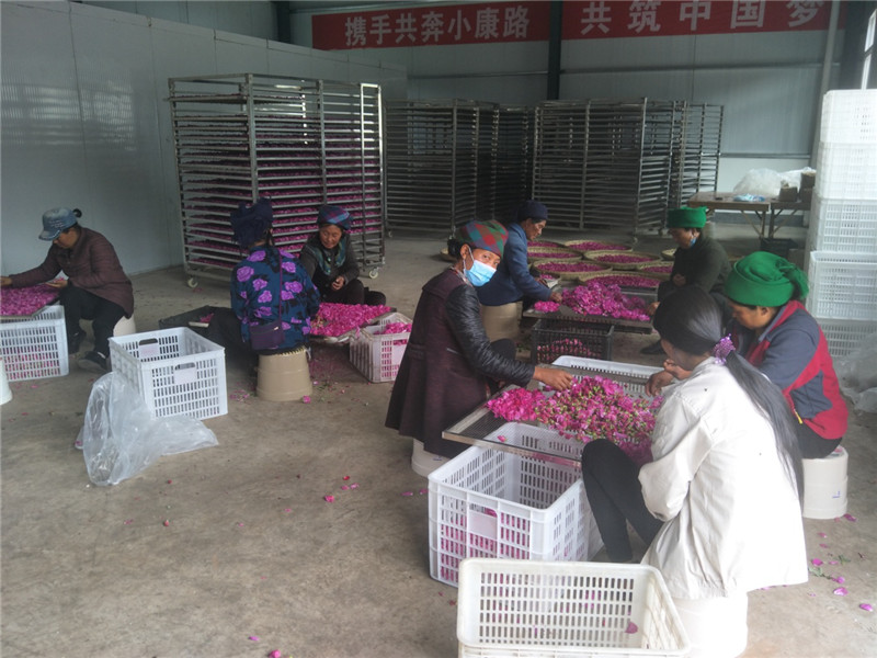 腊味空气能烘干机联系电话|专业制造  腊味空气能烘干机厂家  全自动烘干机厂家  中药材烘干机价格