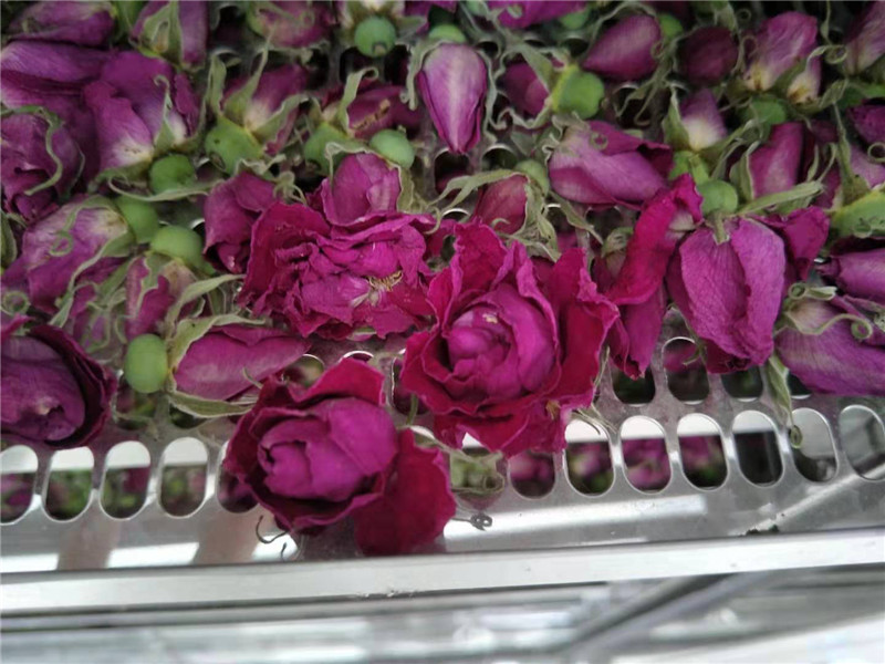 水果蔬菜脱水机器  空气能热泵烘干机  玫瑰花烘干机