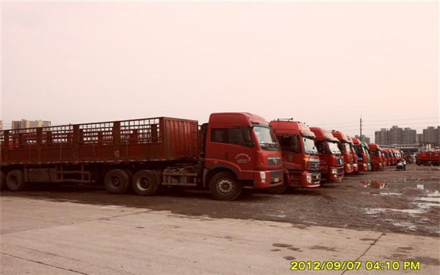 乐清市到湖南醴陵物流公司-性价比高-信誉保证