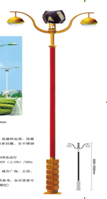 常德市城市智慧路灯销售&nbsp;&nbsp;太阳能路灯&nbsp;&nbsp;城市充电桩智慧路灯&nbsp;&nbsp;欧式精铸铝庭院灯