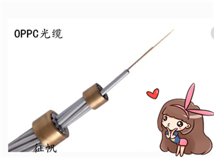 铝包钢绞线厂家电话瀍河回族区
