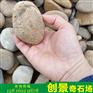 广东鹅卵石产地批发 中山鹅卵石批发厂家 供应中山鹅卵石