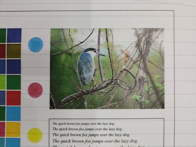 陶瓷相片设备  烧瓷相片设备哪家好  烤瓷遗像设备  烤瓷照片设备