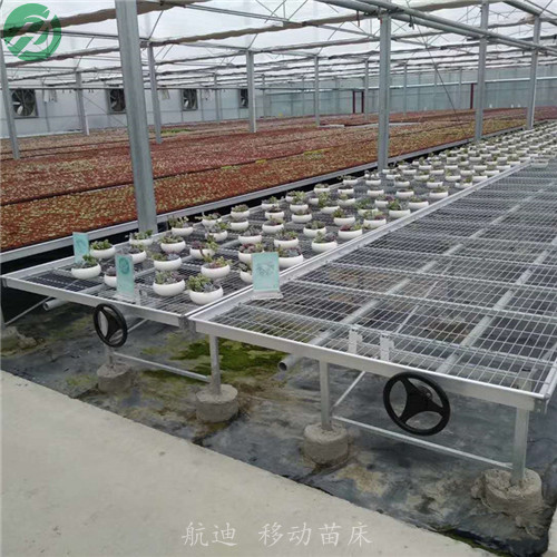 航迪移动苗床地面硬化方案 免费设计  大棚苗床  温室苗床