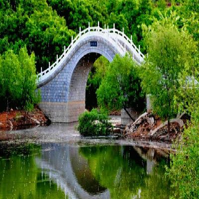 广东省广州市全景VR视频拍摄制作 VR展会摄影