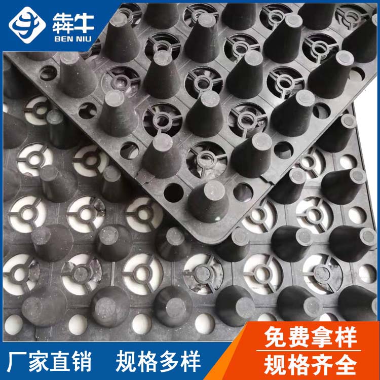 福建省广场登高面景观园林绿化蓄排水板&nbsp;&nbsp;块状蓄水板&nbsp;&nbsp;片材排水板