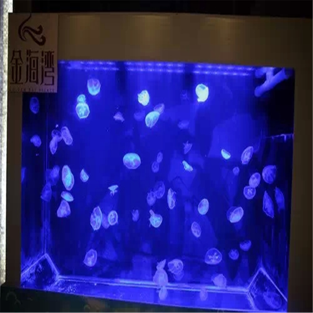 动物展览海洋生物展出租出售海狮表演活动价格  动物展览出租出售