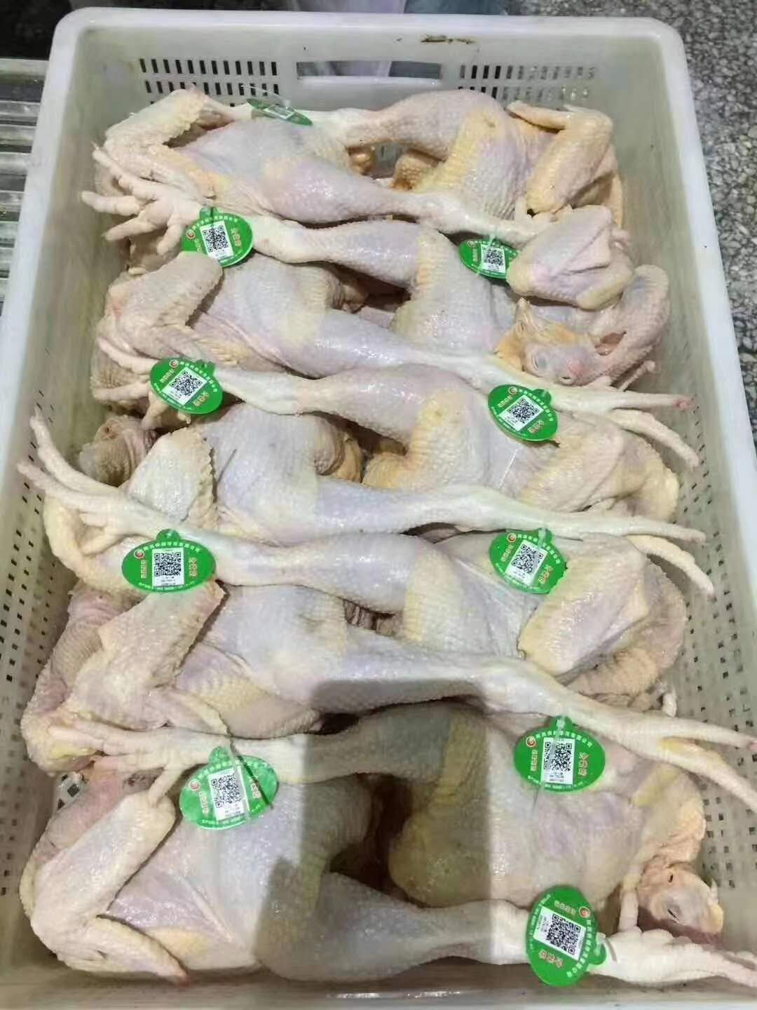 一物一码的溯源追溯标识重庆金禾通印刷变动二维码追溯&nbsp;&nbsp;大闸蟹蟹卡蟹扣&nbsp;&nbsp;家禽脚环标签&nbsp;&nbsp;扎带溯源标签