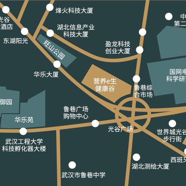 光谷国际广场招商 营养e生健康谷招租  光谷商铺