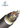 长光通信江苏ADSS-36B1-400跨距单双护套室内外光缆