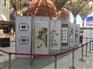 天津八棱柱展板出租天津书画展展板标准摊位租赁