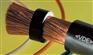 橡套电缆YCH 0.45/0.75KV 2*2.5mm2