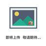 全自动旋光仪