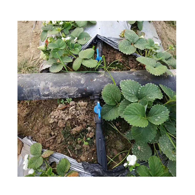 信阳苹果树果园自动喷淋系统安装报价