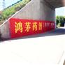 遂宁墙体刷字广告,遂宁写墙体大字,遂宁纯手工墙体彩绘