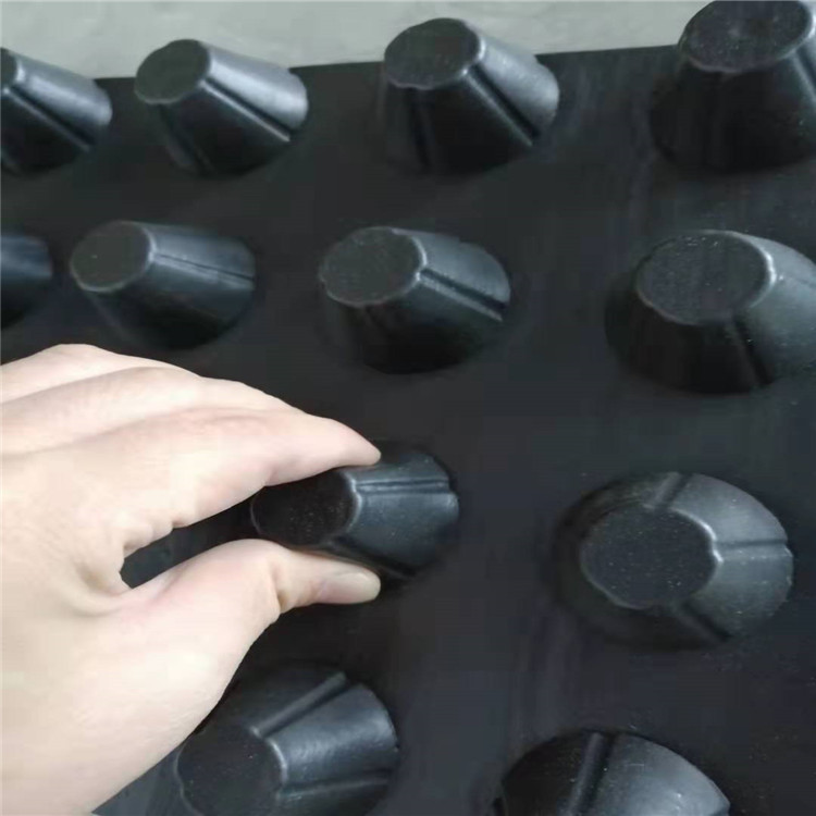 南平市蓄排水板厂家直销