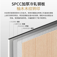 重庆木纹转印钢制储物柜办公柜铁皮柜