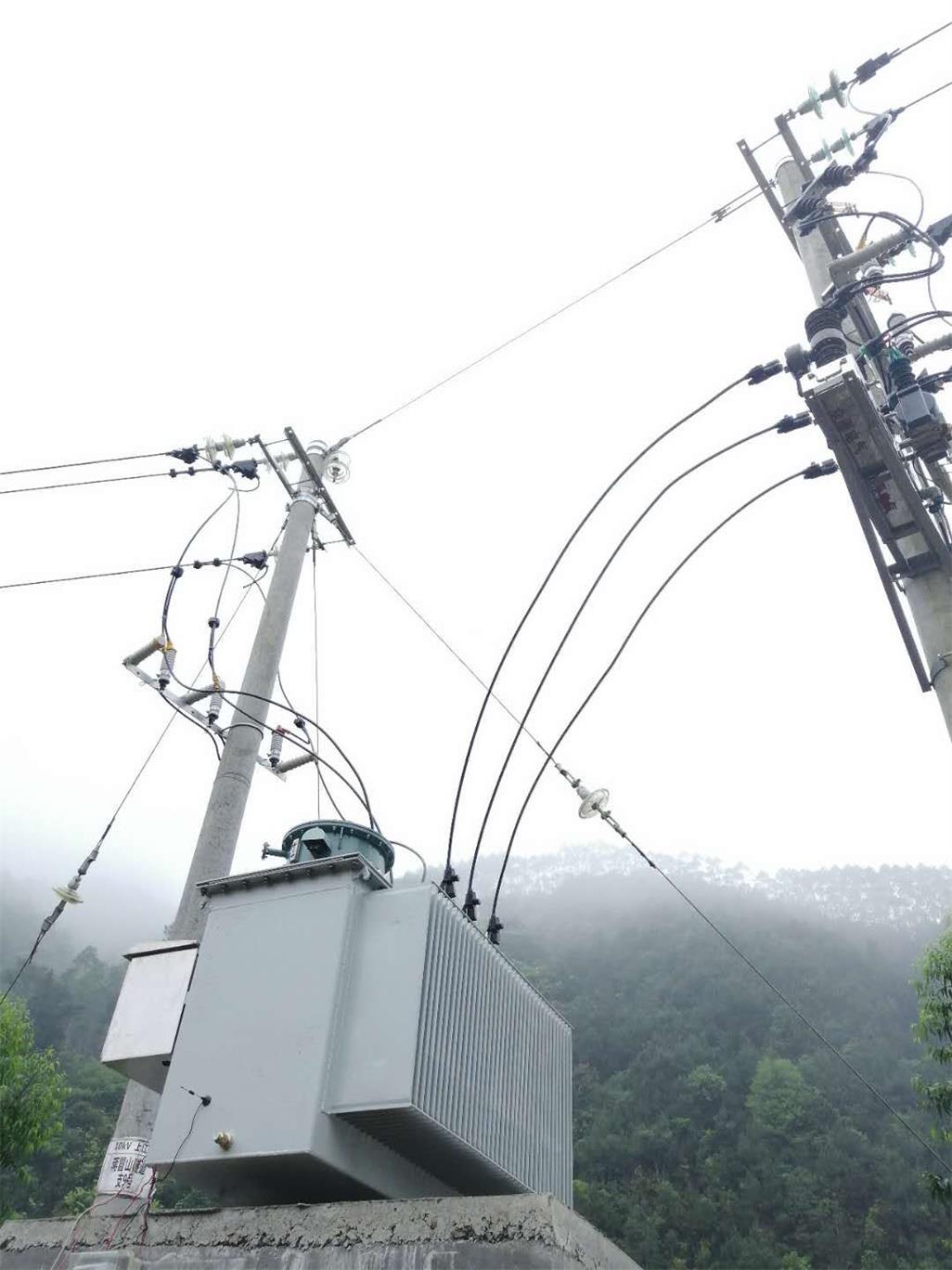 SVR-800KVA高压线路馈电调压器  高压馈电自动调压器  10KV线路调压器