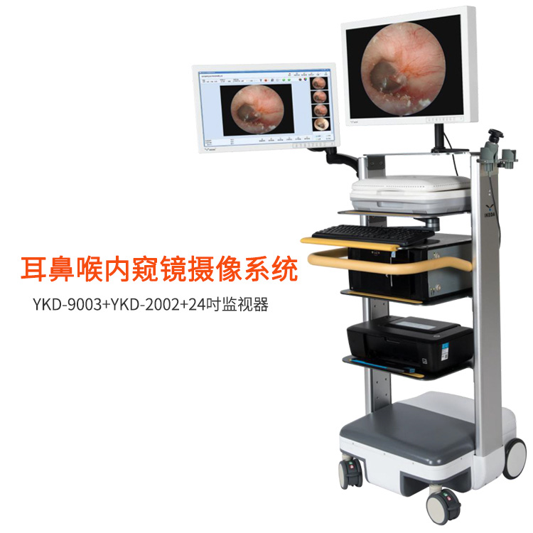 耳鼻喉内窥镜成像系统