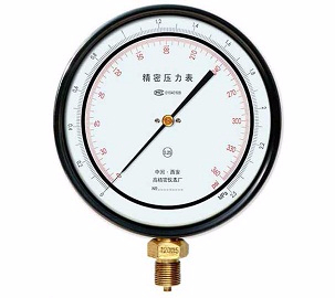西安高精密特殊精密压力表