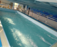 洛阳泳池水处理设备公司l恒温泳池设备厂家  泳池水循环处理系统