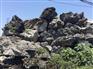 广东英德特色吨位大英石大型园林假山景观造景石