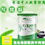 氯化橡胶防腐中间漆特征 山东氯化橡胶防腐中间漆