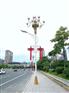 小区公园安装太阳能庭院灯供应商 太阳能庭院灯厂家