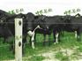 电围栏中农基业专业生产厂家