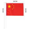 小红旗手摇旗手持手拿手挥旗帜串旗吊旗彩