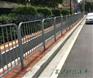 定制市政公路护栏 江门港式护栏