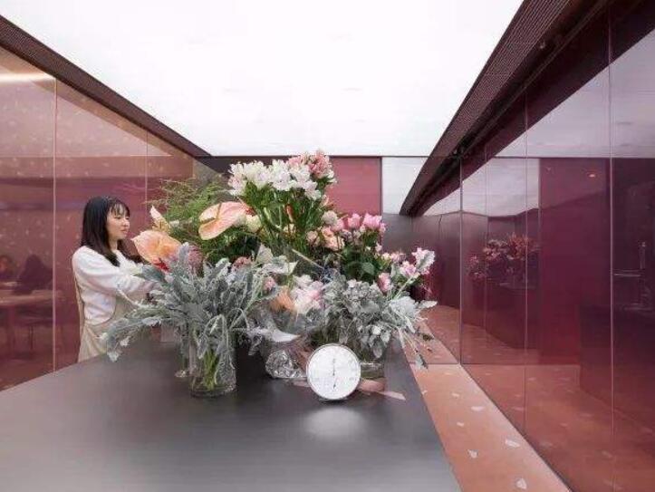 告白鲜花真心实意 为创业者搭建梦想舞台  告白花卉