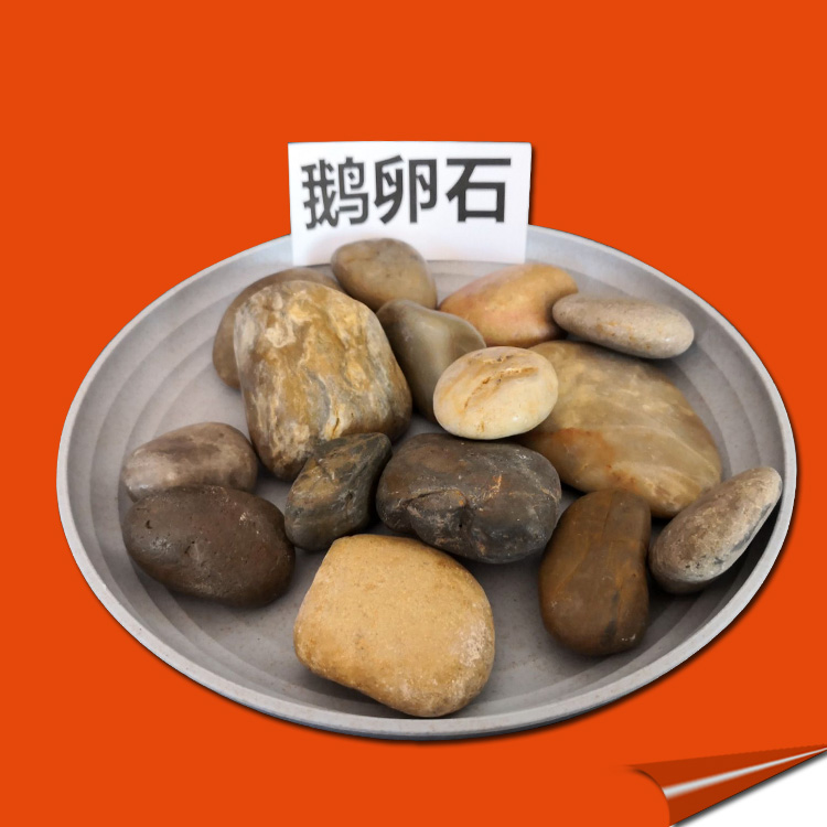 变压器滤油用机制鹅卵石河滩石  白色鹅卵石  抛光鹅卵石