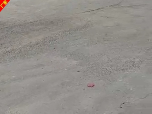 辛醇现货 辛醇生产企业经销商