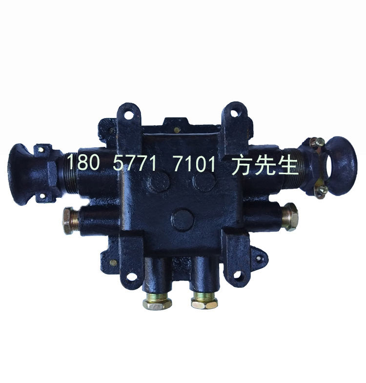 BHD2-20/127-6T煤矿用隔爆型低压电缆接线盒 20A矿用电缆接线盒 6通矿用防爆接线盒 127V矿用防爆接线盒