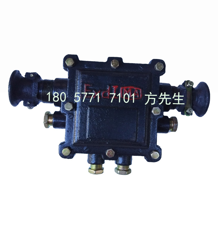 BHD2-20/127-6T煤矿用隔爆型低压电缆接线盒 20A矿用电缆接线盒 6通矿用防爆接线盒 127V矿用防爆接线盒