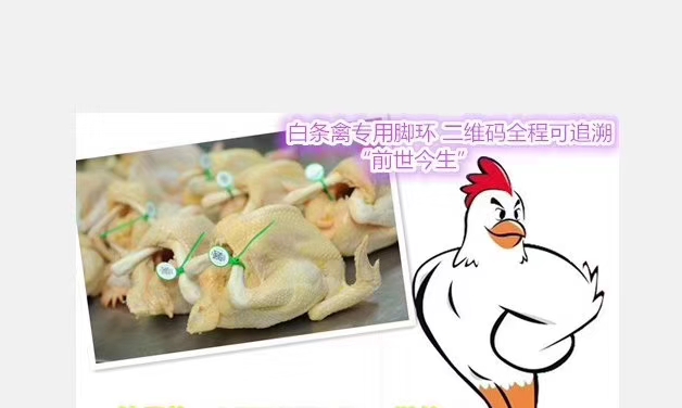 大型屠宰场定点宰杀家禽冰鲜白条上市追溯二维码脚环